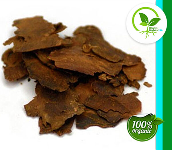 FO-TI ROOT THIN SLICED CURED