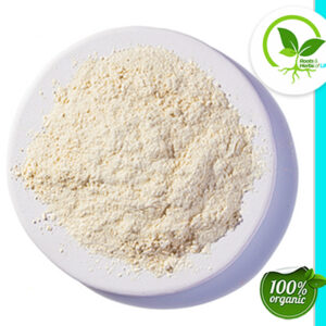 GARLIC POWDER ORGANIC 25 LB