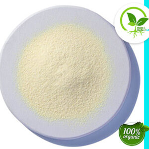 GARLIC POWDER ORG U.S. 4 OZ