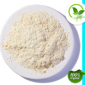 GARLIC PWD ORG 2.75OZ