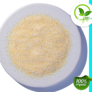 GARLIC SALT ORGANIC