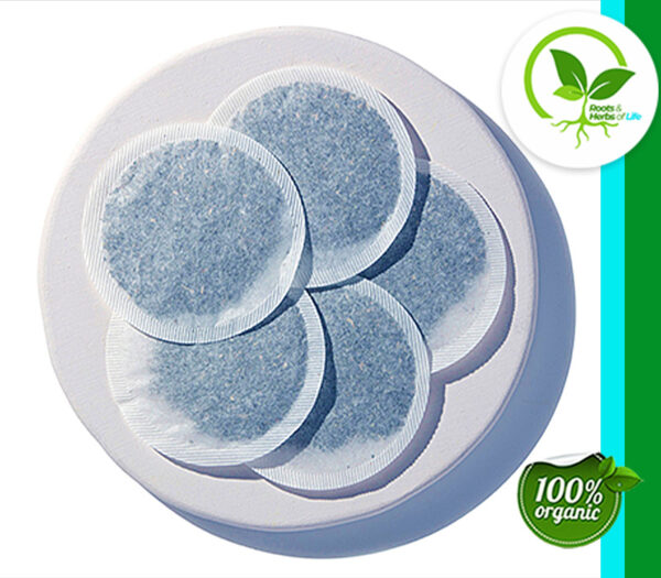 GINGER MINT TUMMY TEA BAGS ORG