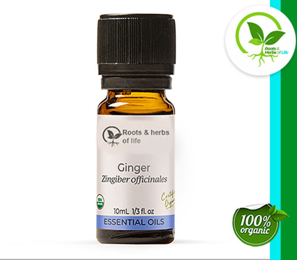 GINGER OIL ORGANIC 4 OZ
