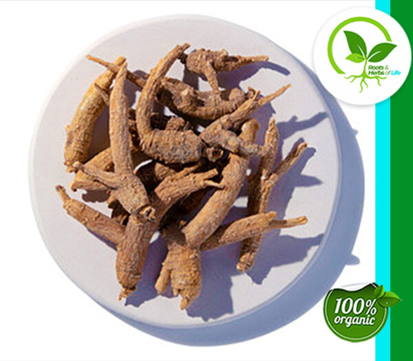GINSENG ROOT AMER. 4YR ORG 4 OZ