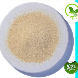 GINSENG ROOT PWD AMERICAN OG 4 OZ