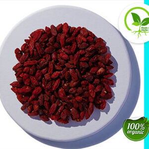 GOJI BERRIES ORGANIC 4 OZ