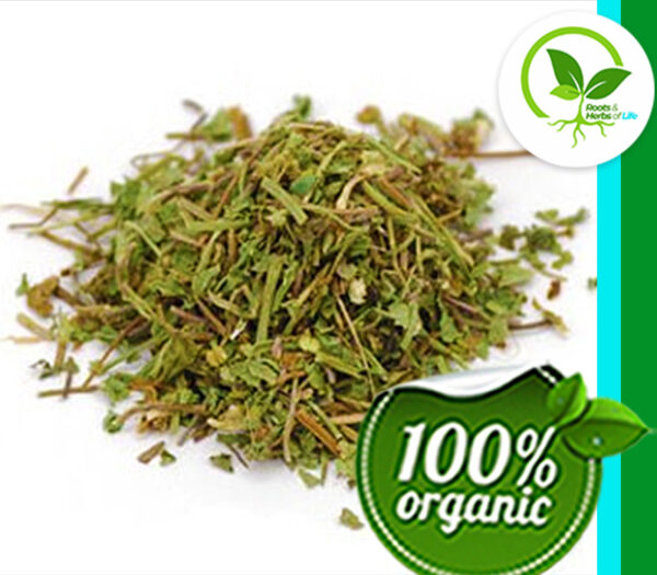 GOTU KOLA HERB C/S ORGANIC
