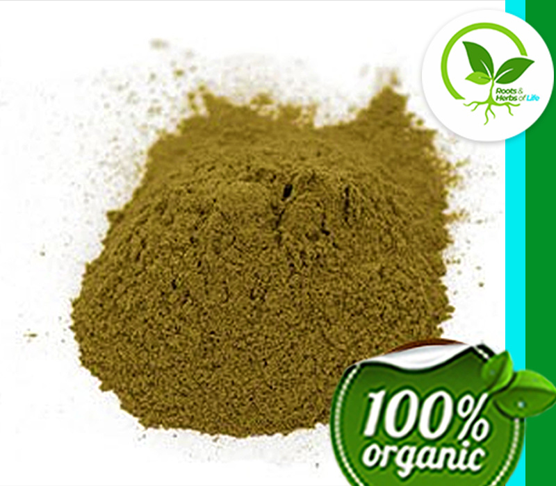 GOTU KOLA HERB POWDER ORGANIC