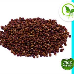 GRAINS OF PARADISE