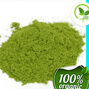 GYMNEMA SYLVESTRE LEAF PWD OG