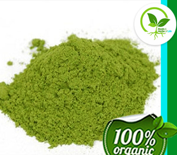 GYMNEMA SYLVESTRE LEAF PWD OG