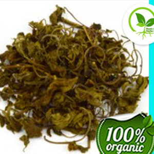 HOLY BASIL LEAF KRISHNA C/S OG 4 OZ