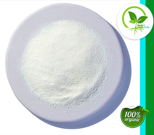 HONEY POWDER ORGANIC
