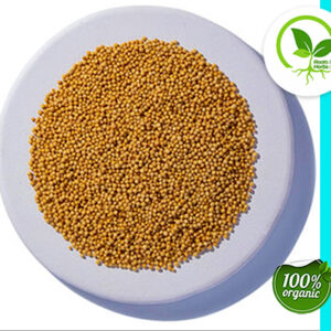 MUSTARD SEED YELLOW ORGANIC
