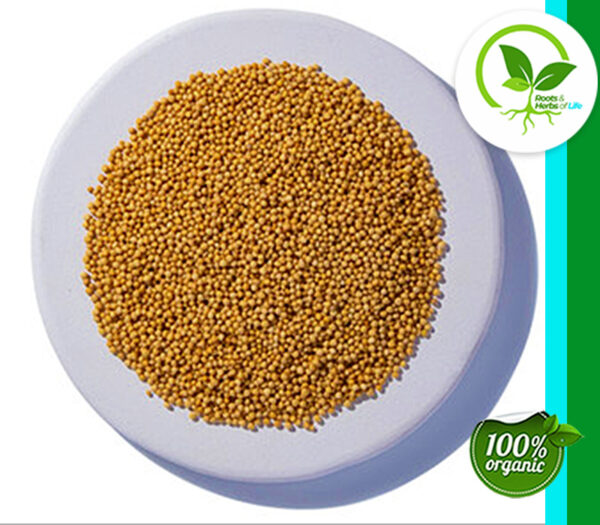 MUSTARD SEED YELLOW ORGANIC