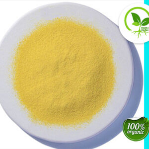 NUTRITIONAL YEAST POWDER