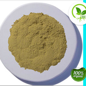 OLIVE LEAF POWDER ORGANIC 4 OZ