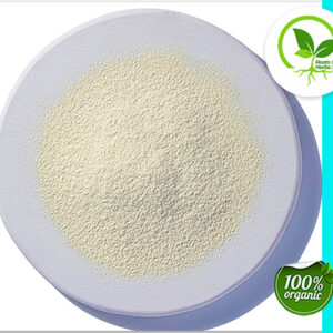ONION POWDER ORGANIC