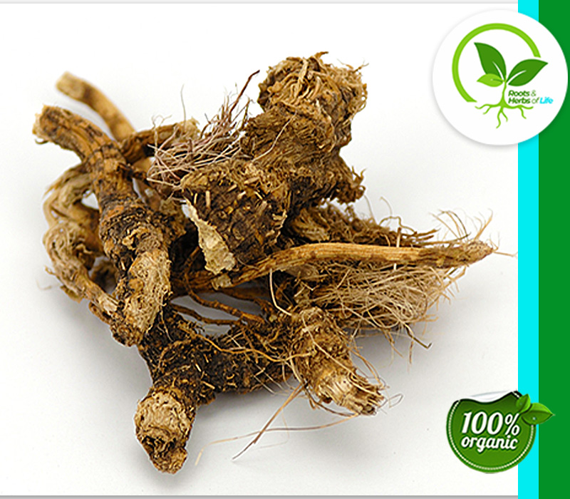 OSHA ROOT WHOLE 4 OZ