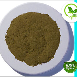 PEPPERMINT LEAF POWDER OG 4 OZ