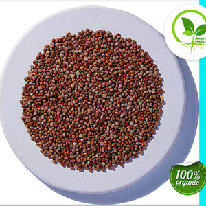 RADISH SEED ORGANIC 4 OZ