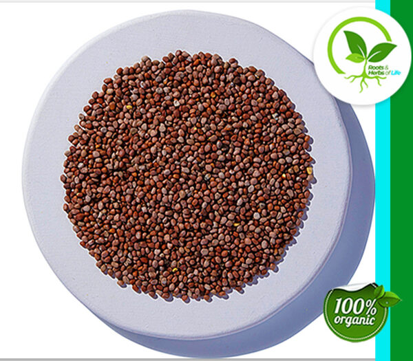 RADISH SEED ORGANIC 4 OZ