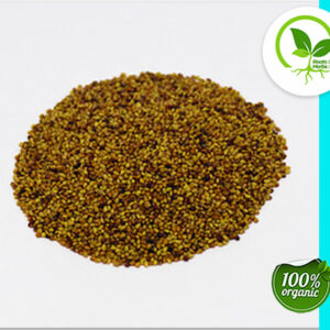 RED CLOVER SEED ORGANIC
