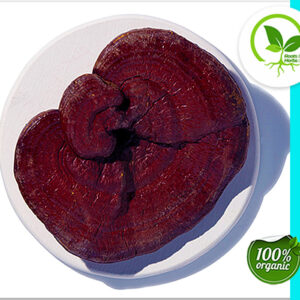 REISHI MUSHROOM RED ORG 4 OZ