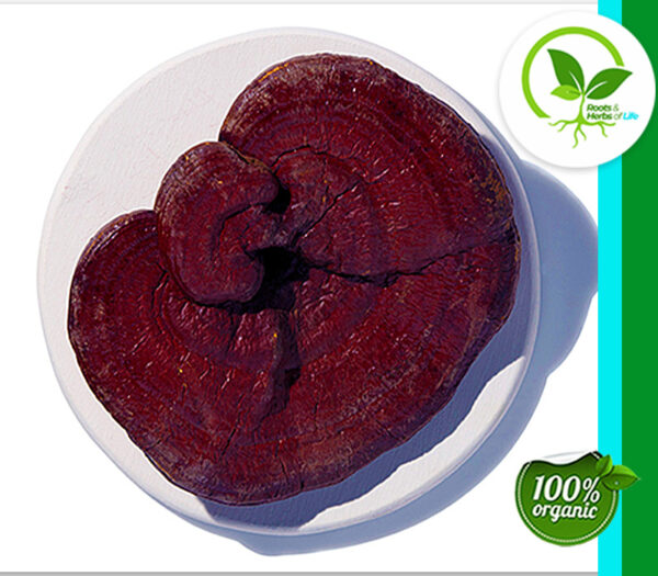 REISHI MUSHROOM RED ORG 4 OZ