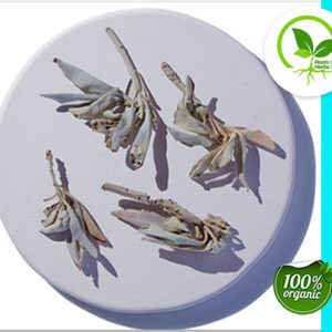 SAGE LEAF WHITE WHOLE WC