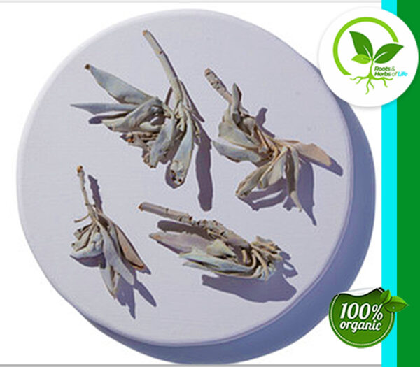 SAGE LEAF WHITE WHOLE WC