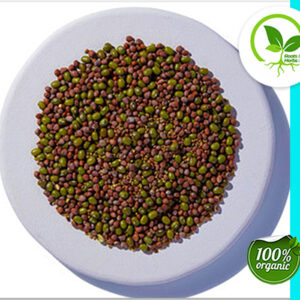SALAD SPROUT BLEND ORGANIC