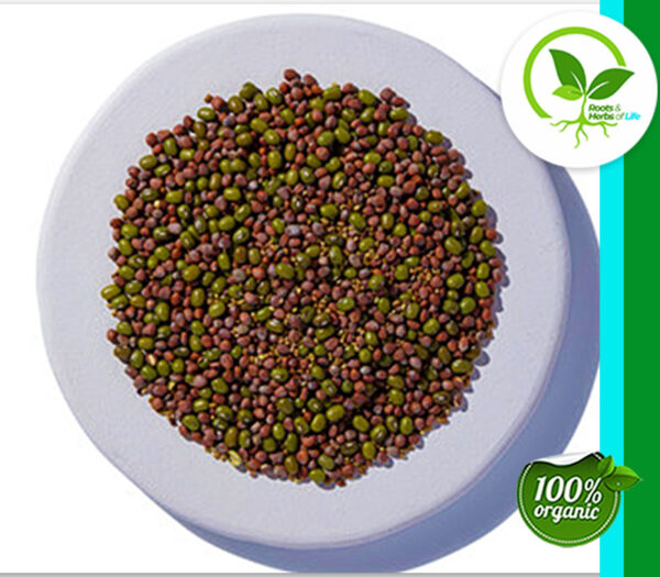 SALAD SPROUT BLEND ORGANIC 4 OZ