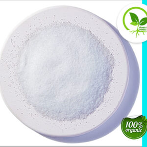 SALT SEA, SEL GRIS COARSE 4 OZ