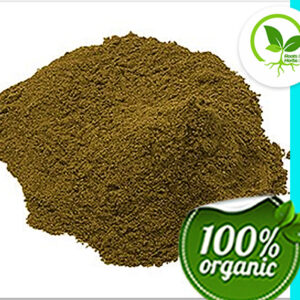 SARSAPARILLA ROOT PWD INDIAN OG 4 OZ