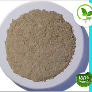 SEA MOSS POWDER ORGANIC 4 OZ