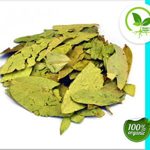 SENNA LEAF WHOLE ORGANIC