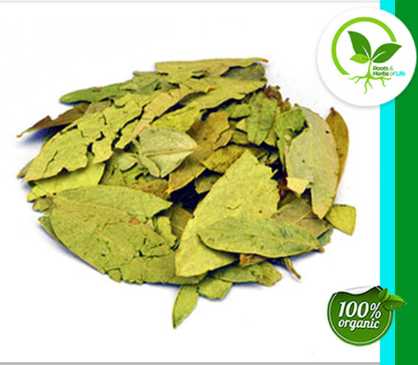 SENNA LEAF WHOLE ORGANIC