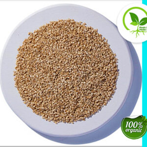 SESAME SEED NAT ORGANIC