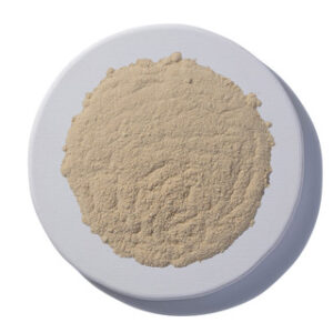 SHATAVARI ROOT POWDER ORGANIC