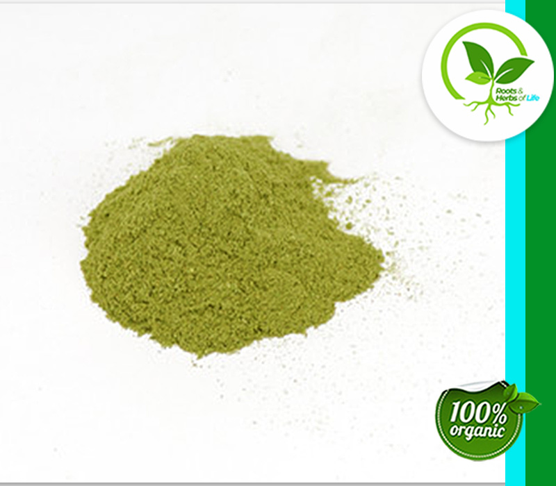 SHAVEGRASS HERB POWDER ORGANIC
