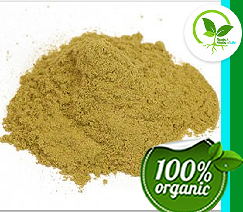 SHEEP SORREL HERB PWD OG 4 OZ