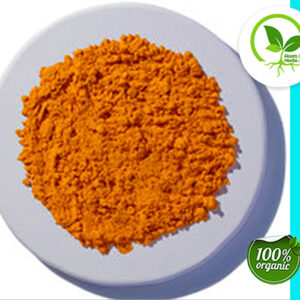 TURMERIC POWDER EXTRACT 95%