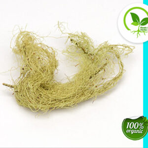 USNEA LICHEN WHOLE WC