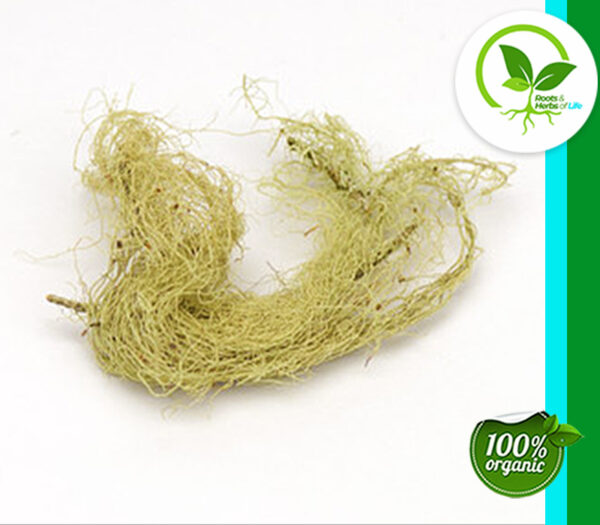 USNEA LICHEN WHOLE WC 4 OZ