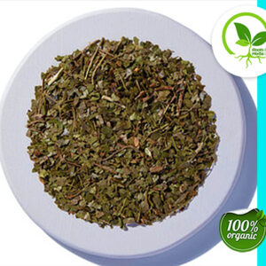 WITCH HAZEL LEAF C/S ORG