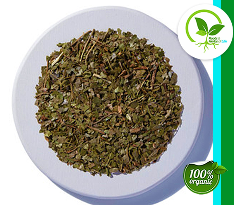 WITCH HAZEL LEAF C/S ORG 4 OZ