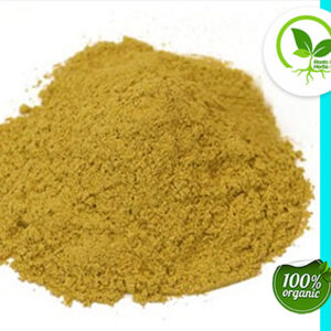 YERBA MATE GREEN C/S ORG 4 OZ